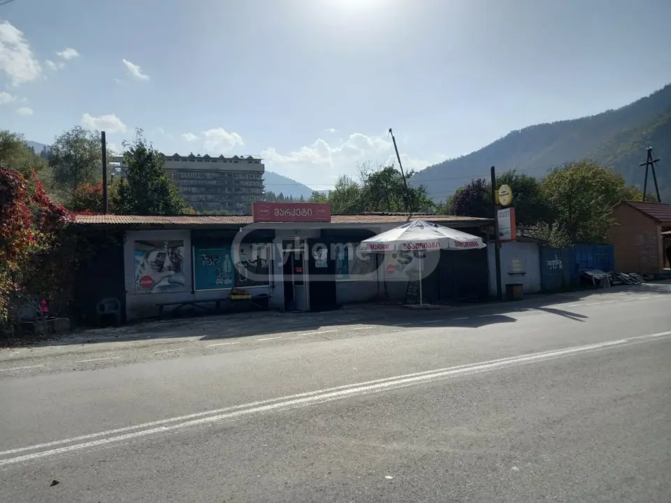 For Rent Savachro Commercial Space Borjomshi view 1