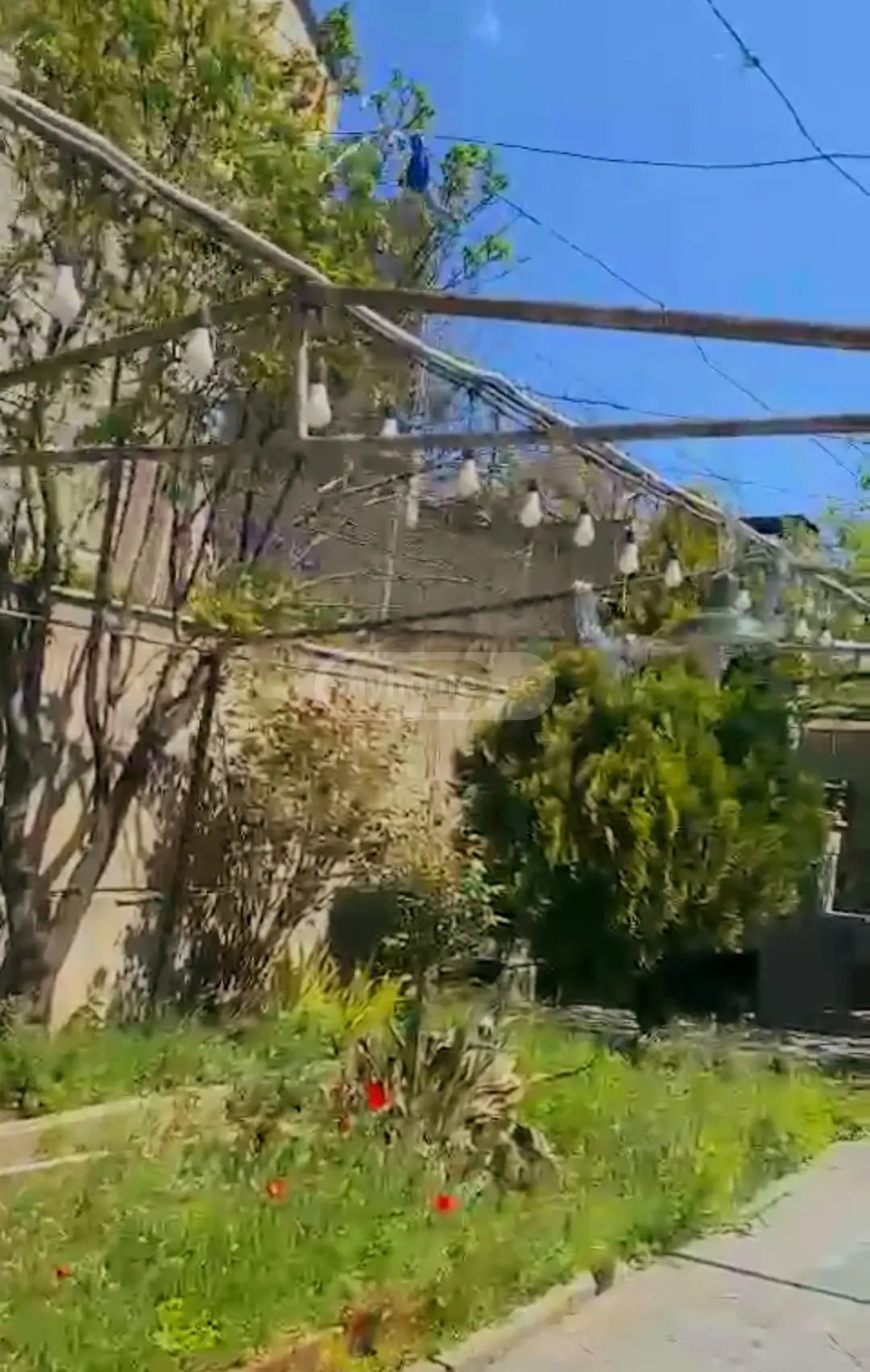 Daily Rent 6 Room Country House Mukhianshi view 15