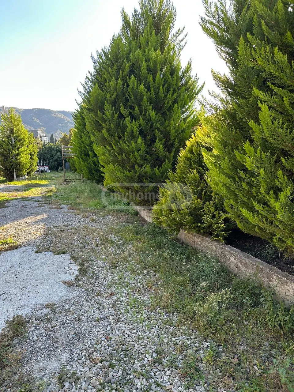 For Sale Ara Sasoplo-Sameurneo Land Plot Ortachalashi, 4 of 7