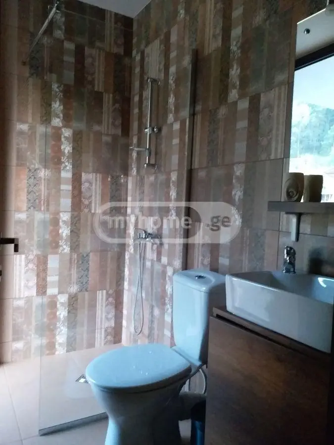 Daily Rent 5 Room Private House Bakurianshi, 9 of 12