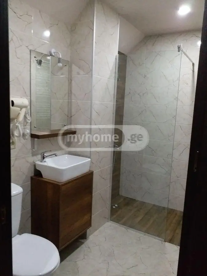 Daily Rent 5 Room Private House Bakurianshi, 6 of 12