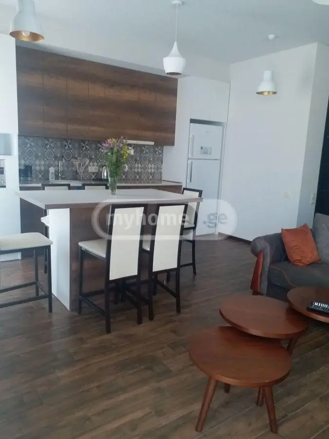 Daily Rent 5 Room Private House Bakurianshi, 2 of 12