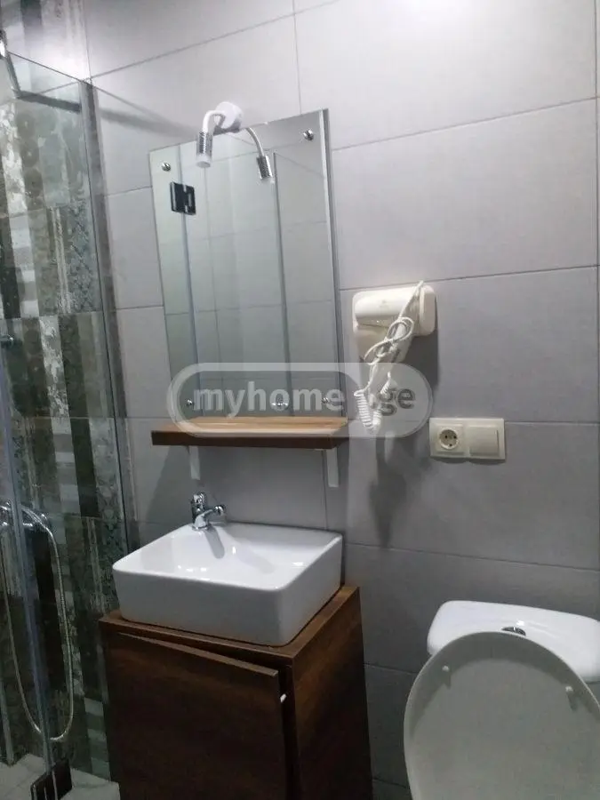 Daily Rent 5 Room Private House Bakurianshi, 11 of 12
