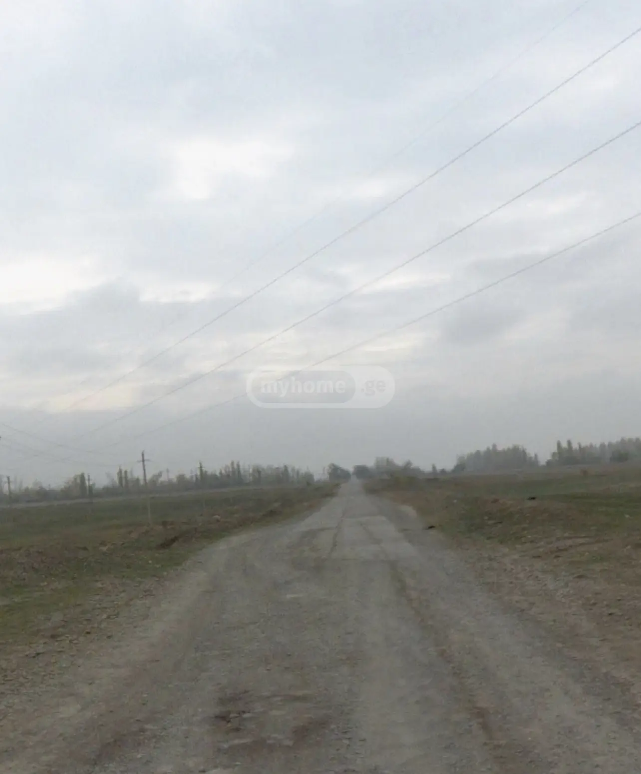 For Sale Sasoplo-Sameurneo Land Plot Gardabnis Munitsipalitetshi view 6