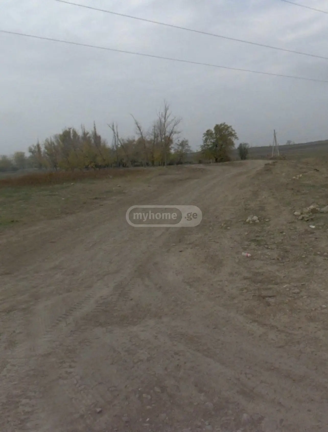 For Sale Sasoplo-Sameurneo Land Plot Gardabnis Munitsipalitetshi view 7