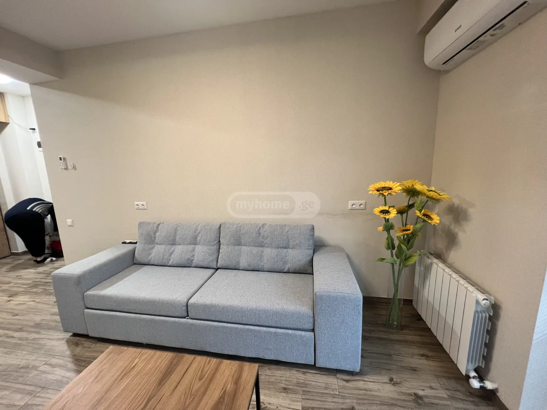 2 Room Flat For Sale view 21