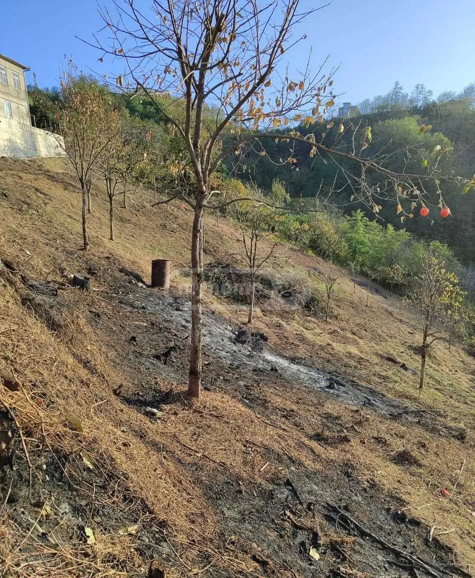 For Sale Sasoplo-Sameurneo Land Plot In Batumi, 3 of 7