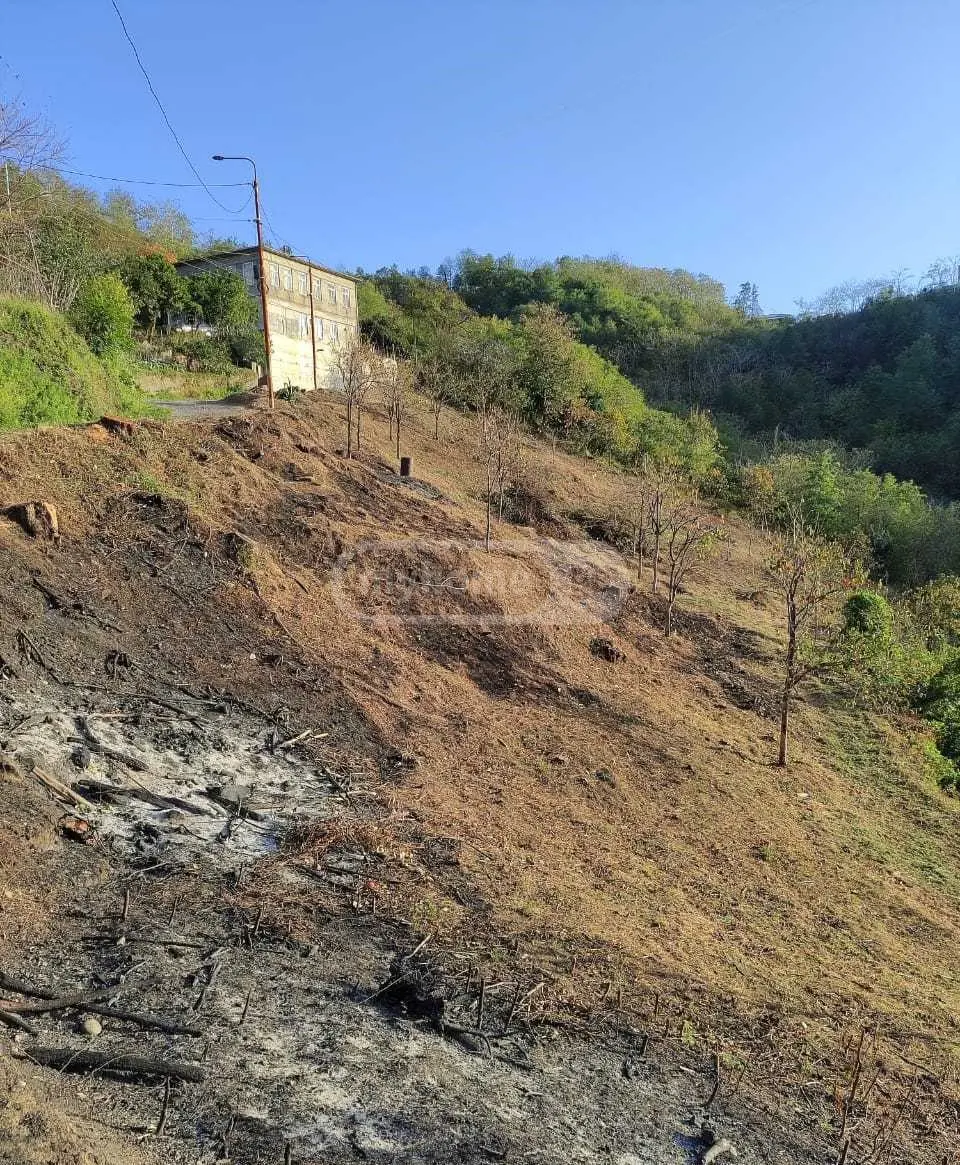 For Sale Sasoplo-Sameurneo Land Plot In Batumi, 5 of 7