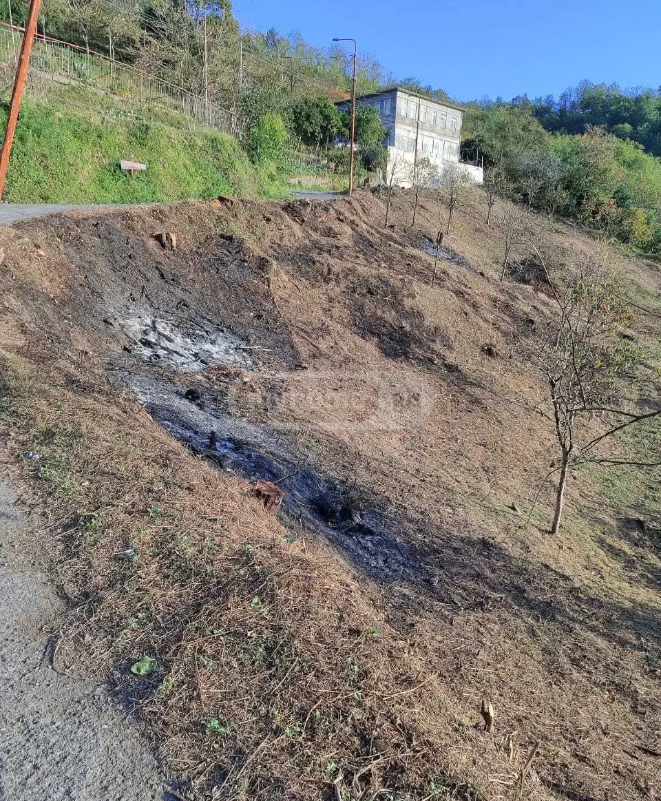 For Sale Sasoplo-Sameurneo Land Plot In Batumi, 6 of 7