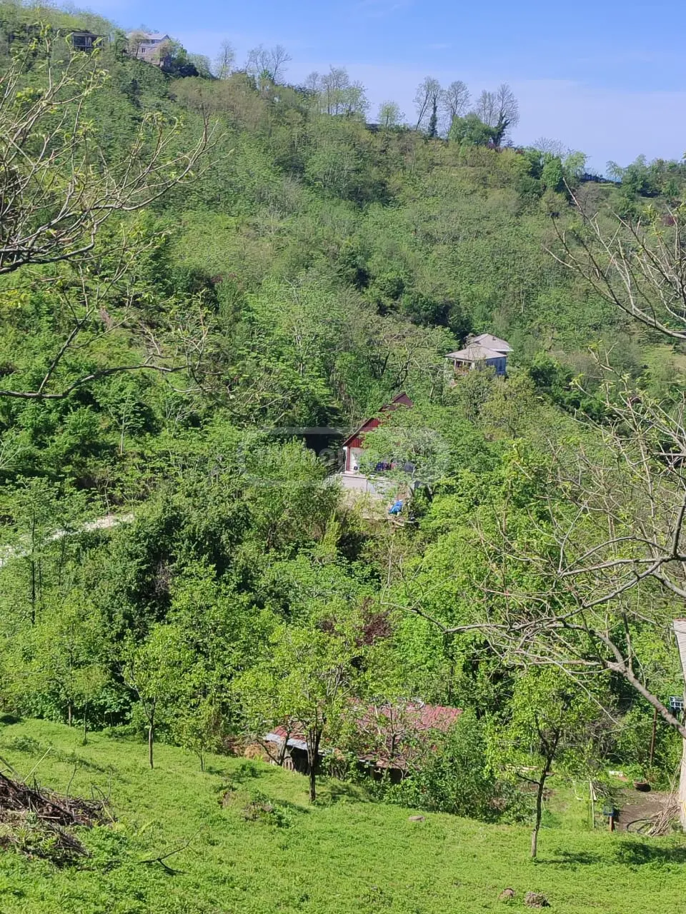 For Sale Sasoplo-Sameurneo Land Plot In Batumi, 7 of 7