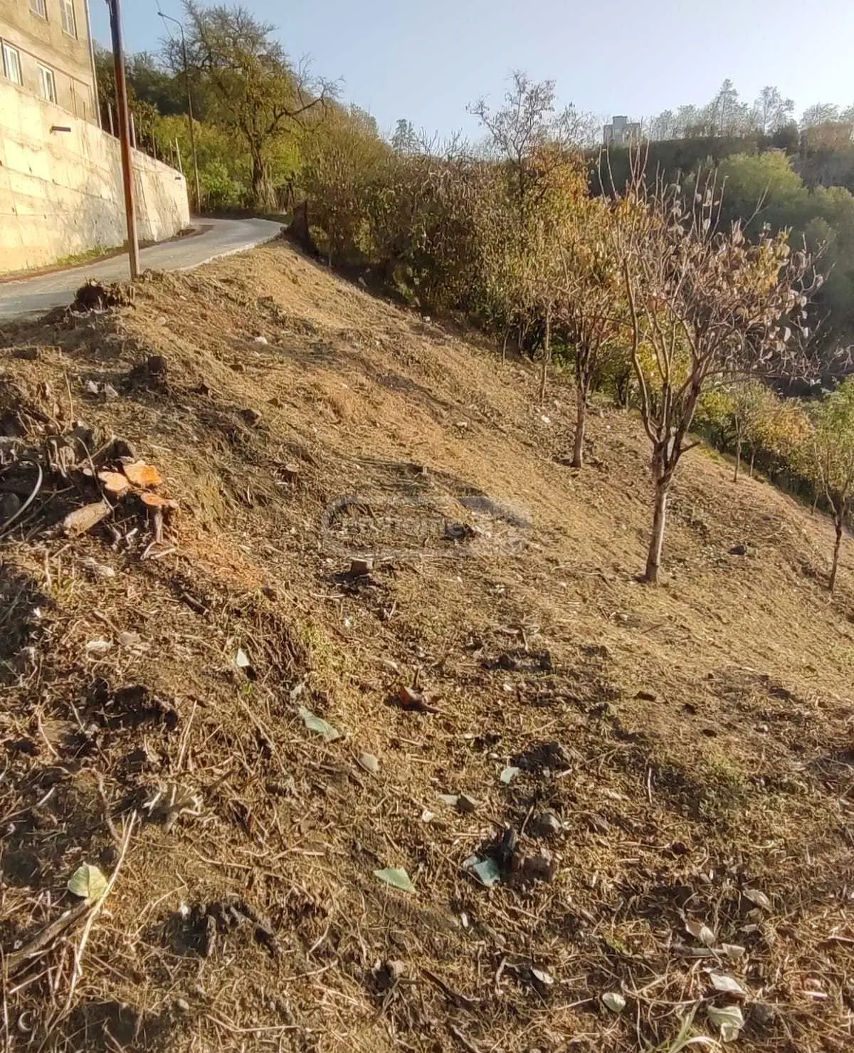 For Sale Sasoplo-Sameurneo Land Plot In Batumi, 4 of 7