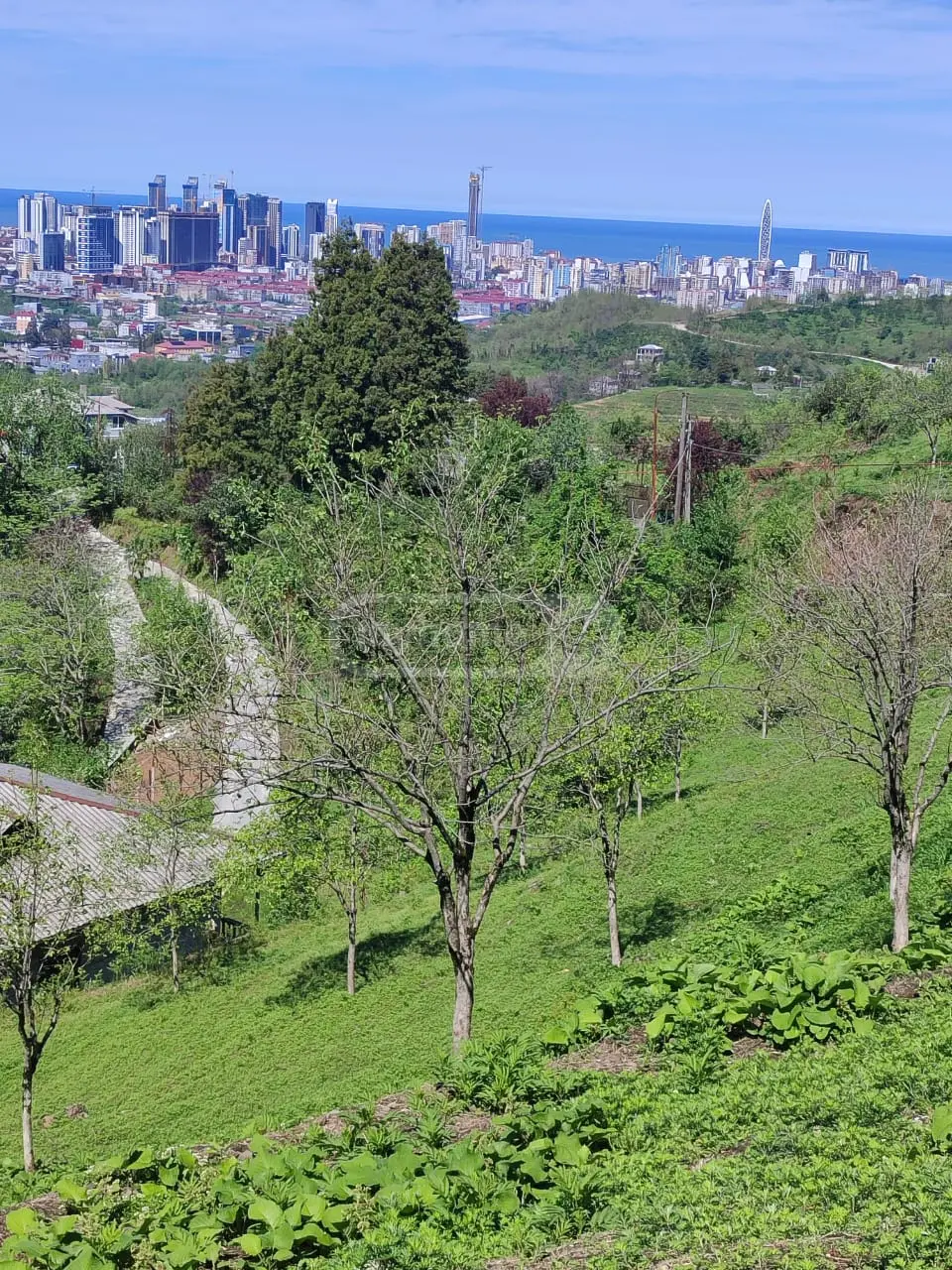 For Sale Sasoplo-Sameurneo Land Plot In Batumi, 1 of 7