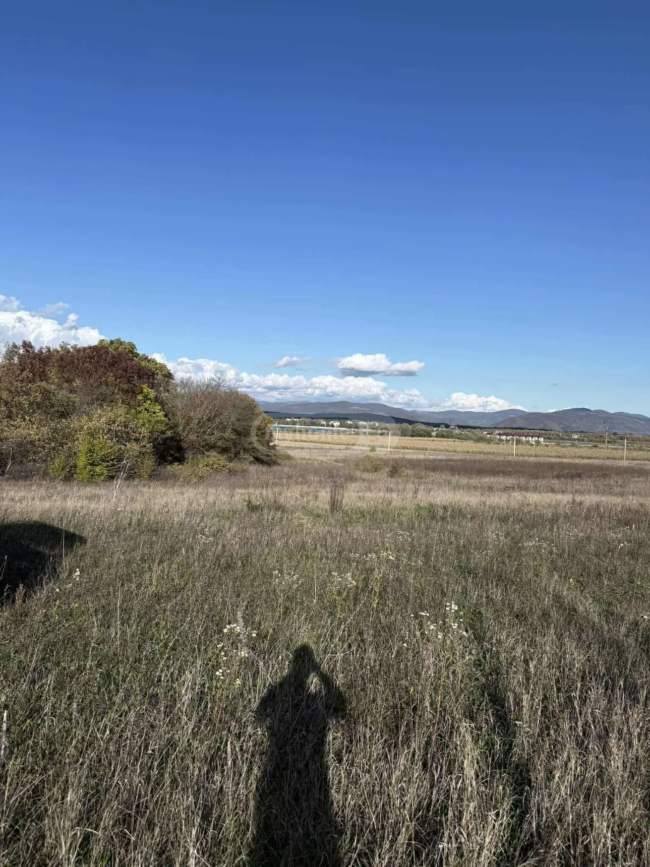 For Sale Sasoplo-Sameurneo Land Plot Dushetis Munitsipalitetshi view 4