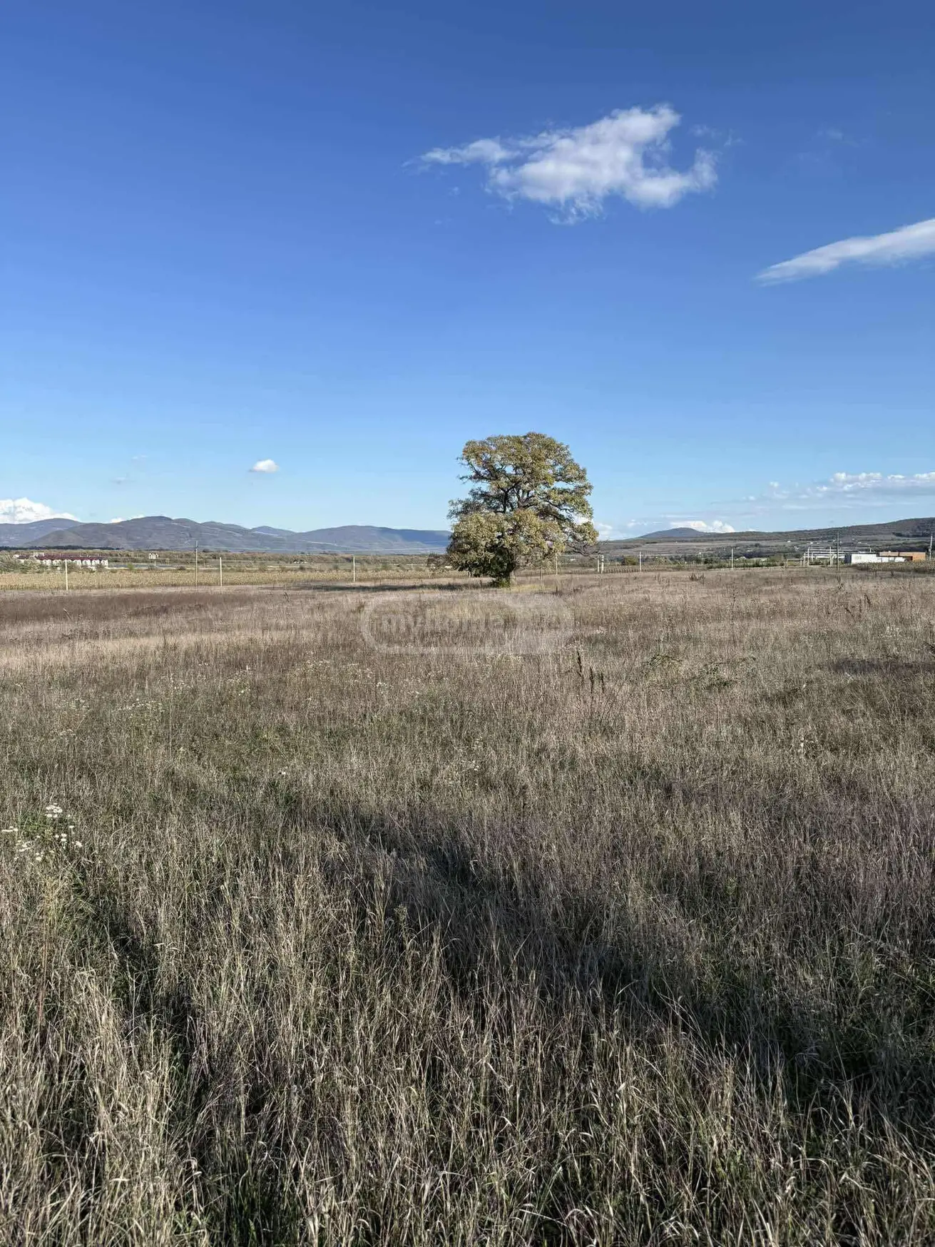 For Sale Sasoplo-Sameurneo Land Plot Dushetis Munitsipalitetshi view 6