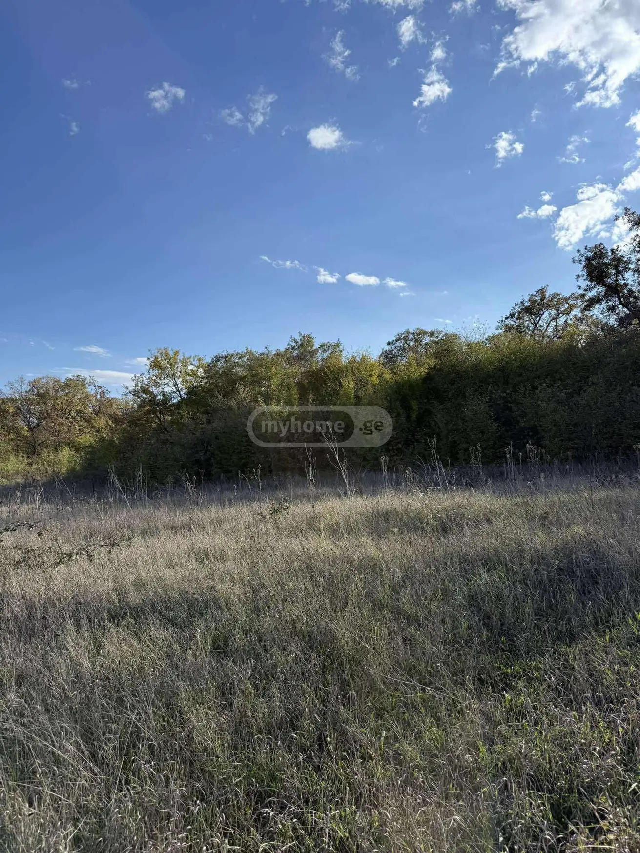For Sale Sasoplo-Sameurneo Land Plot Dushetis Munitsipalitetshi view 8
