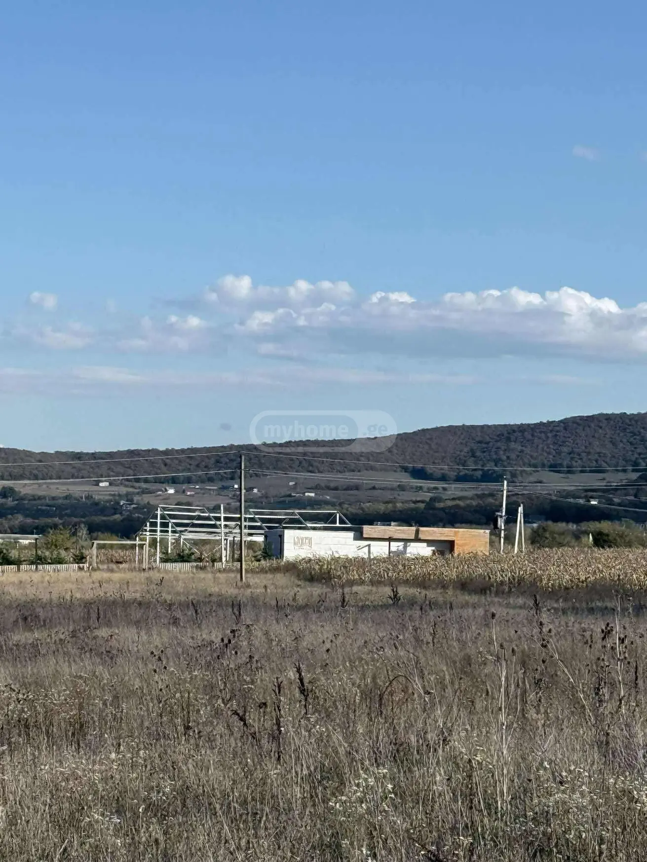 For Sale Sasoplo-Sameurneo Land Plot Dushetis Munitsipalitetshi view 1