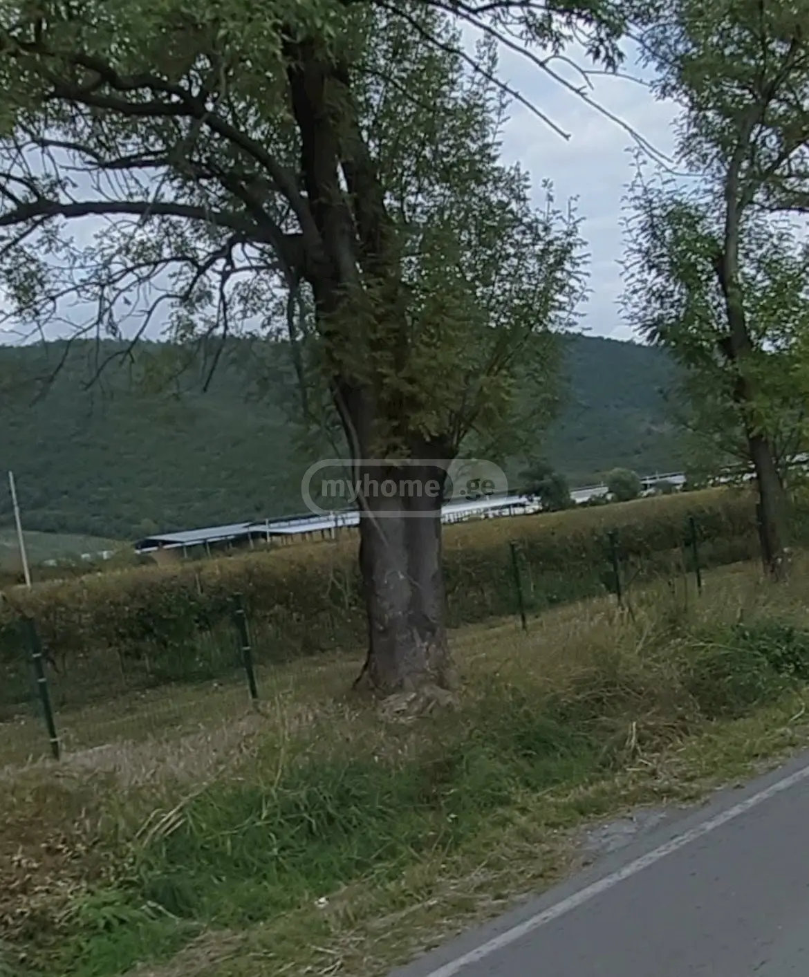 Продажа Земля / участок в Qvarlis Munitsipalitetshi view 7