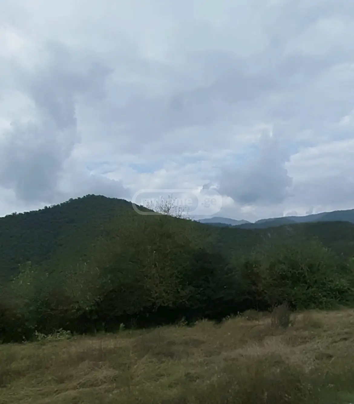Продажа Земля / участок в Qvarlis Munitsipalitetshi view 9