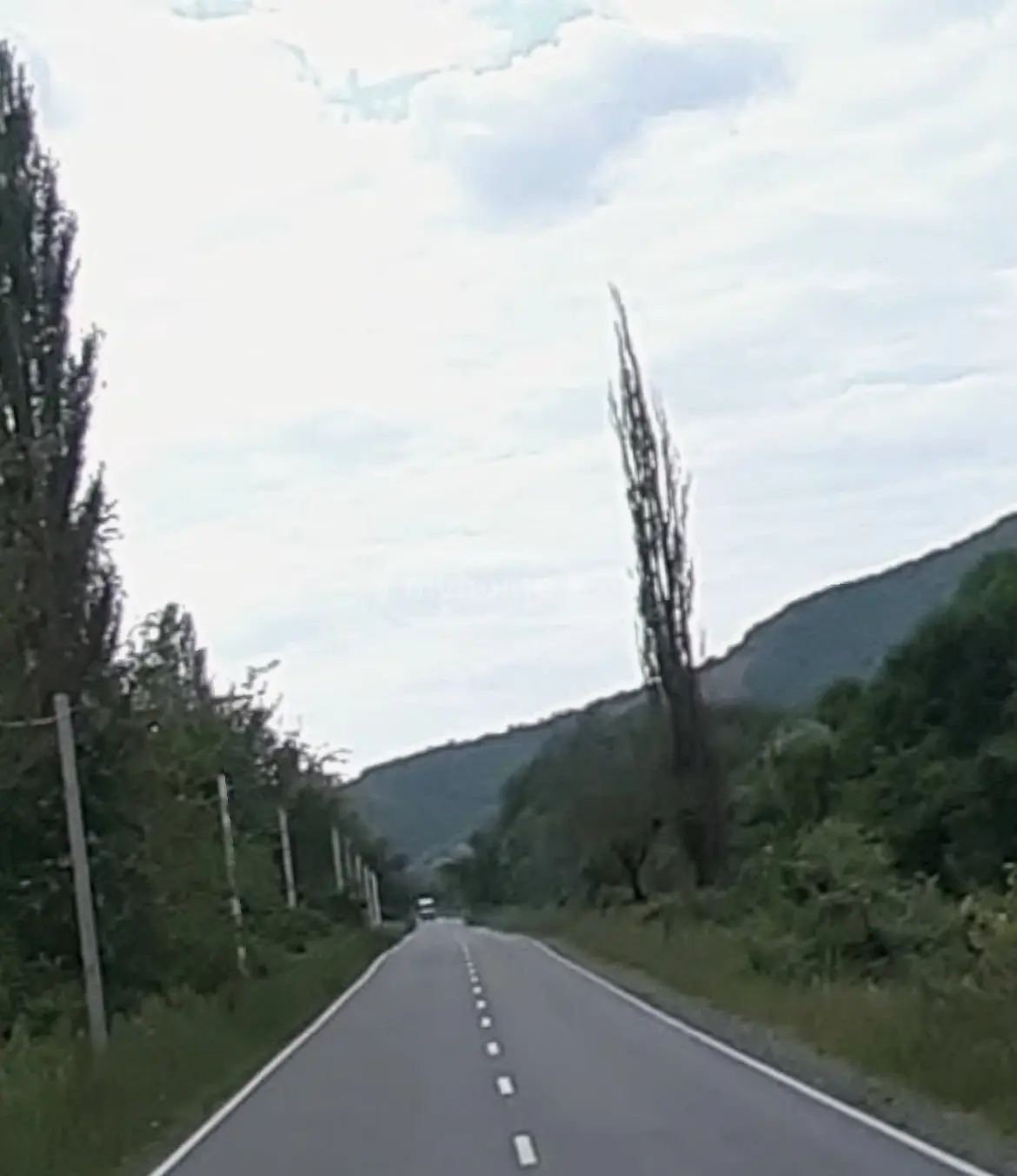 Продажа Земля / участок в Qvarlis Munitsipalitetshi view 4