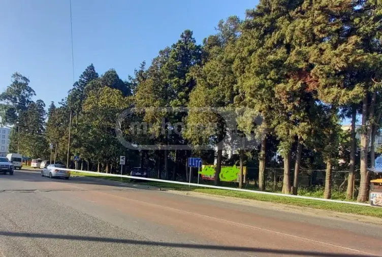 For Sale Ara Sasoplo-Sameurneo Land Plot In Batumi, 3 of 7