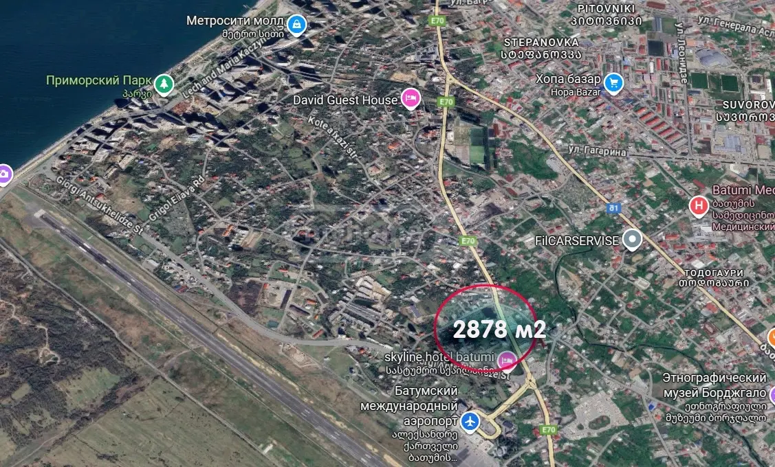 For Sale Ara Sasoplo-Sameurneo Land Plot In Batumi, 5 of 7
