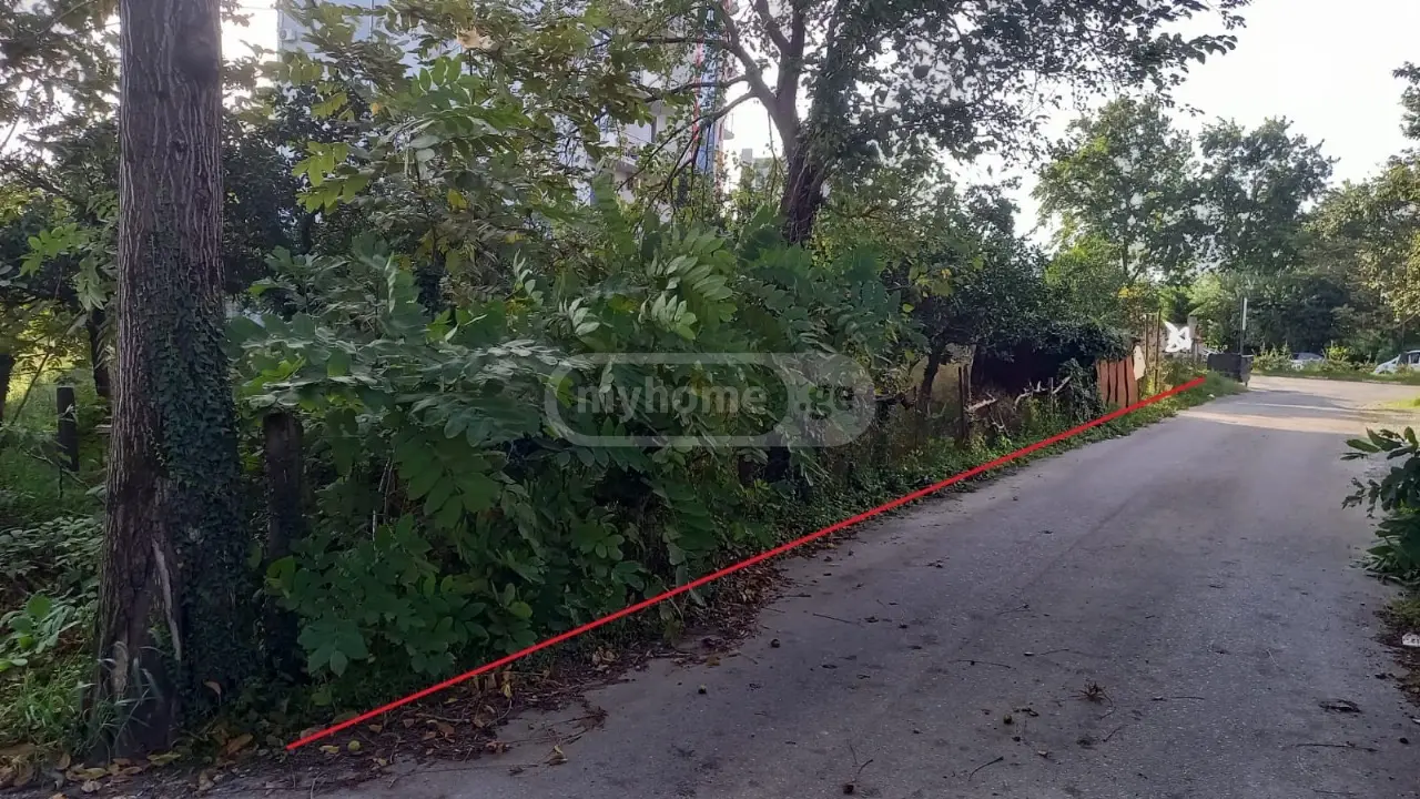 For Sale Ara Sasoplo-Sameurneo Land Plot In Batumi, 6 of 7