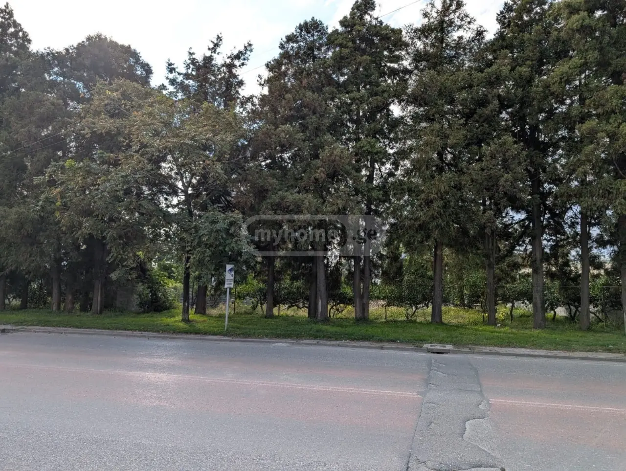 For Sale Ara Sasoplo-Sameurneo Land Plot In Batumi, 7 of 7