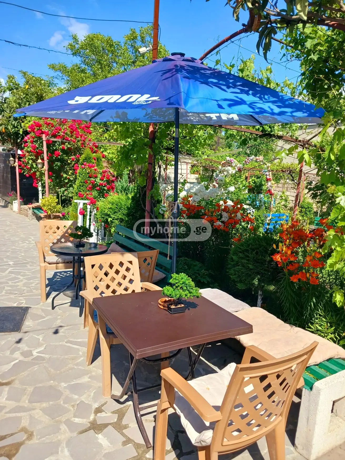 Daily Rent 3 Room Country House Samgorshi view 12