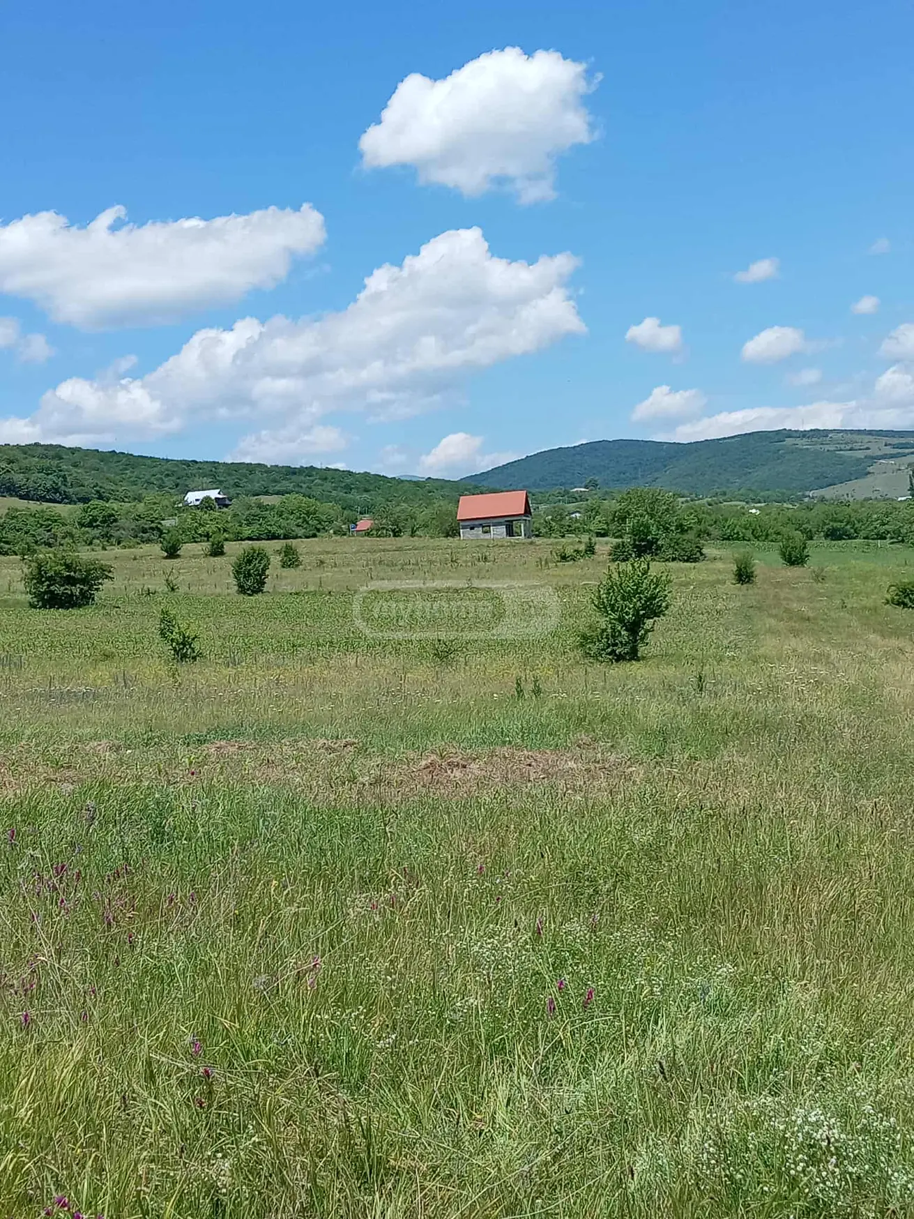 იყიდება მიწა / ნაკვეთი Dushetis Munitsipalitetshiში view 9