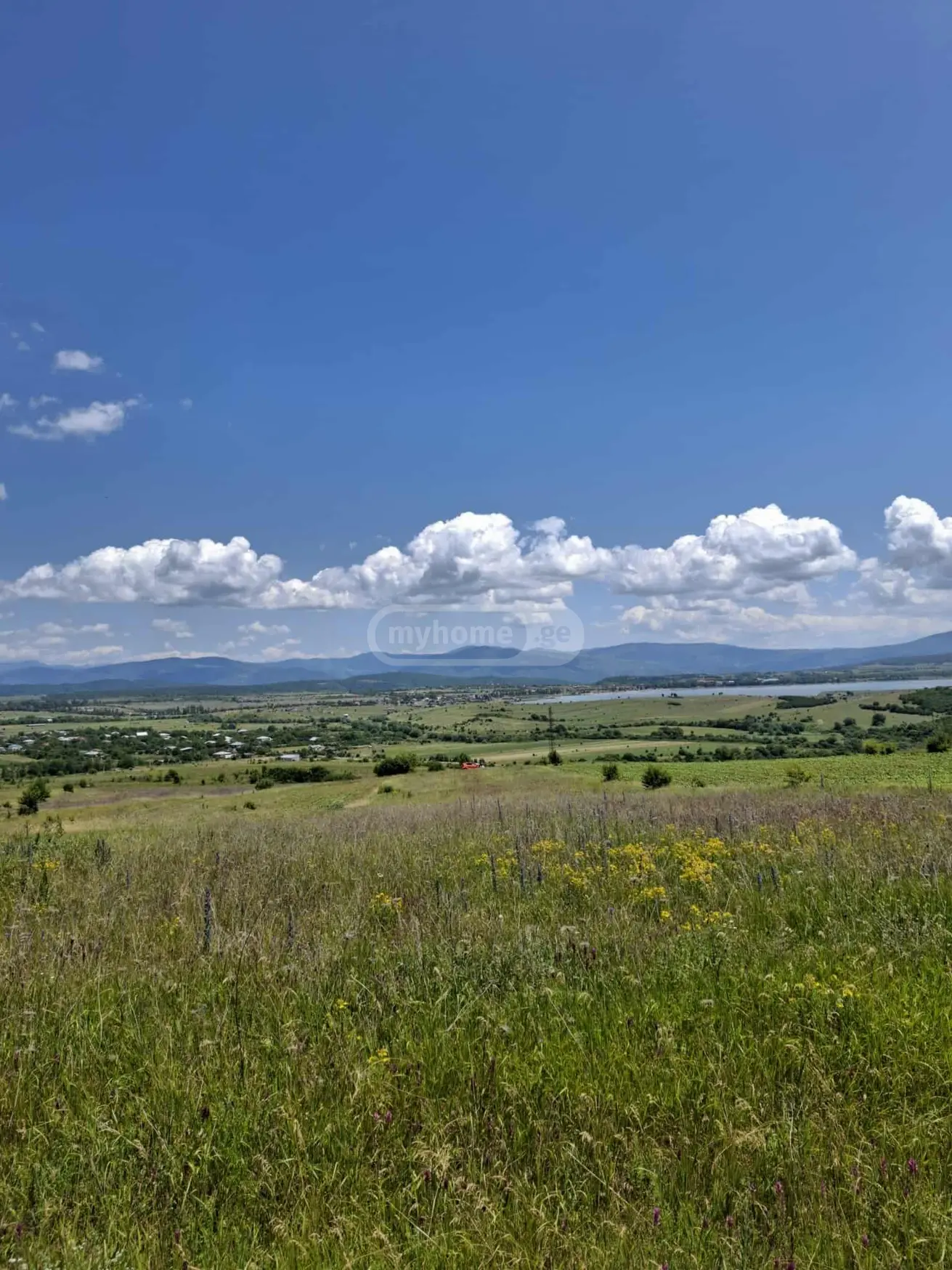 იყიდება მიწა / ნაკვეთი Dushetis Munitsipalitetshiში view 4
