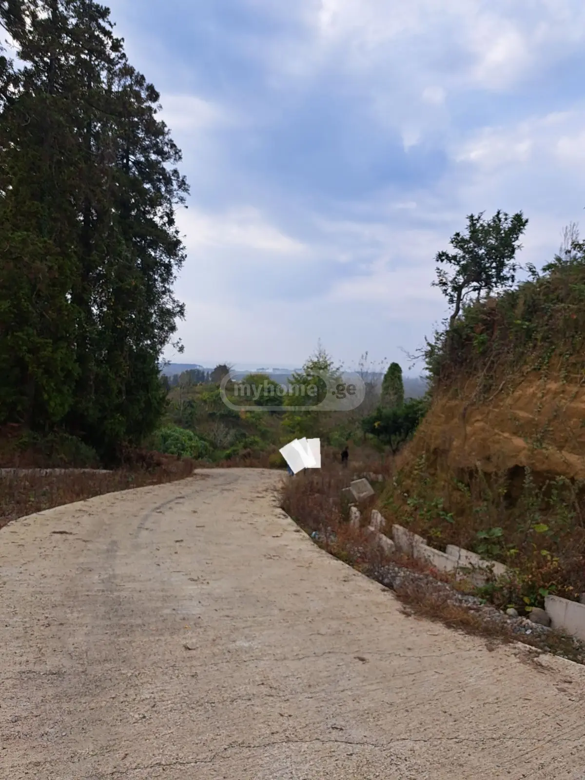 For Sale Sasoplo-Sameurneo Land Plot Ozurgetis Munitsipalitetshi view 4