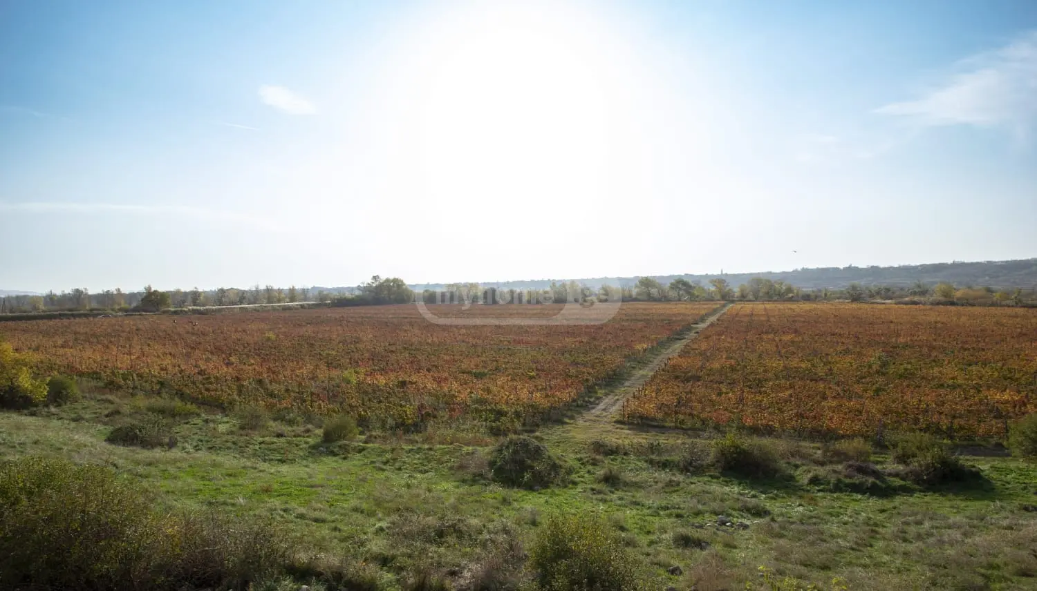 For Sale 10+ Room Sastumro Sagarejos Munitsipalitetshi view 6