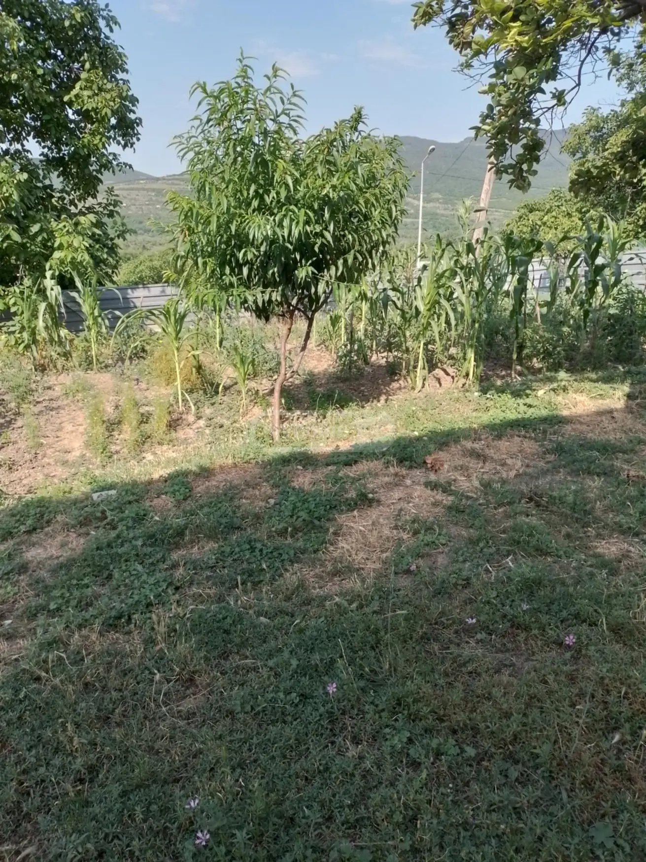 For Sale 4 Room Private House Dushetis Munitsipalitetshi view 8