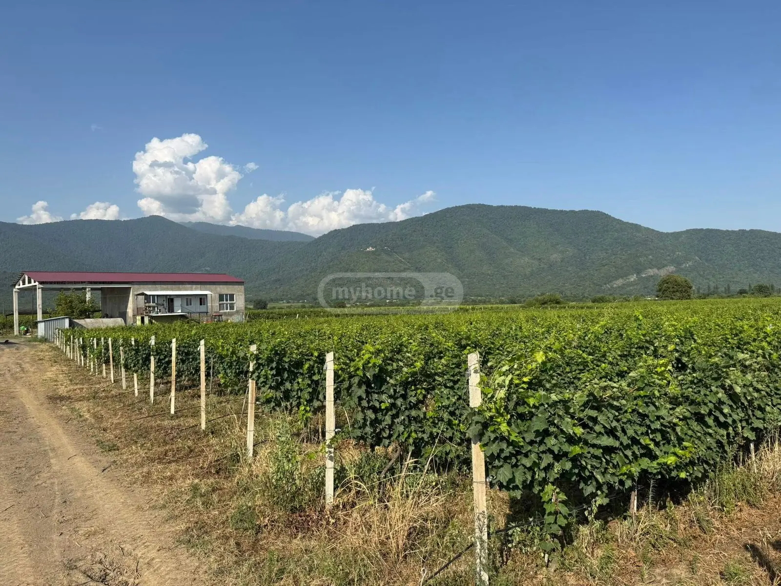 For Sale Sasoplo-Sameurneo Land Plot Qvarlis Munitsipalitetshi view 12