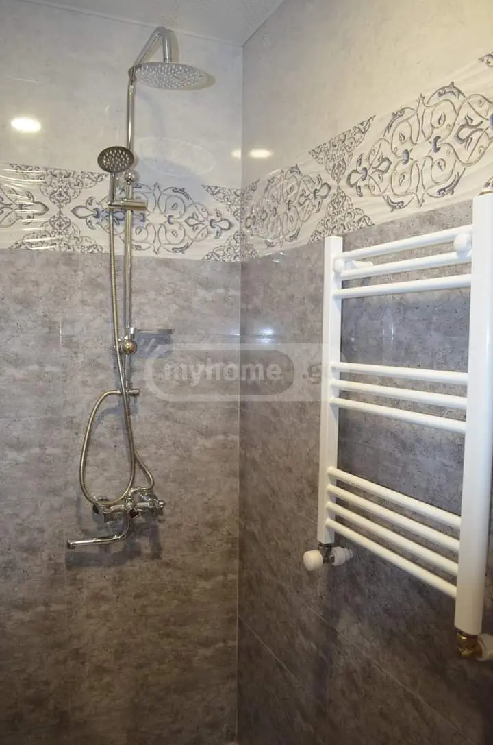Daily Rent 4 Room Country House Borjomshi view 9