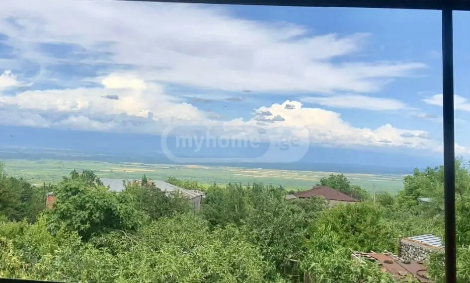 Продажа 8-комната Частный дом в Gurjaanshi view 5