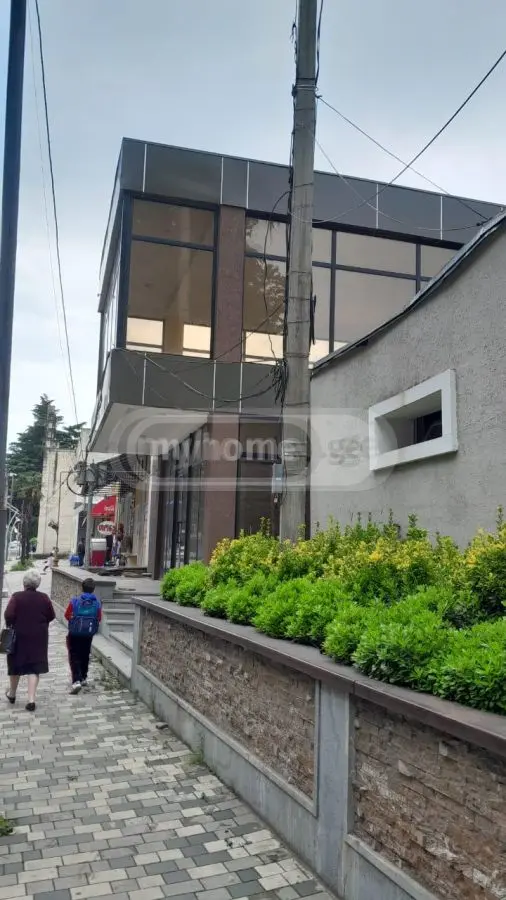 For Rent Universaluri Commercial Space Zestaponshi view 4