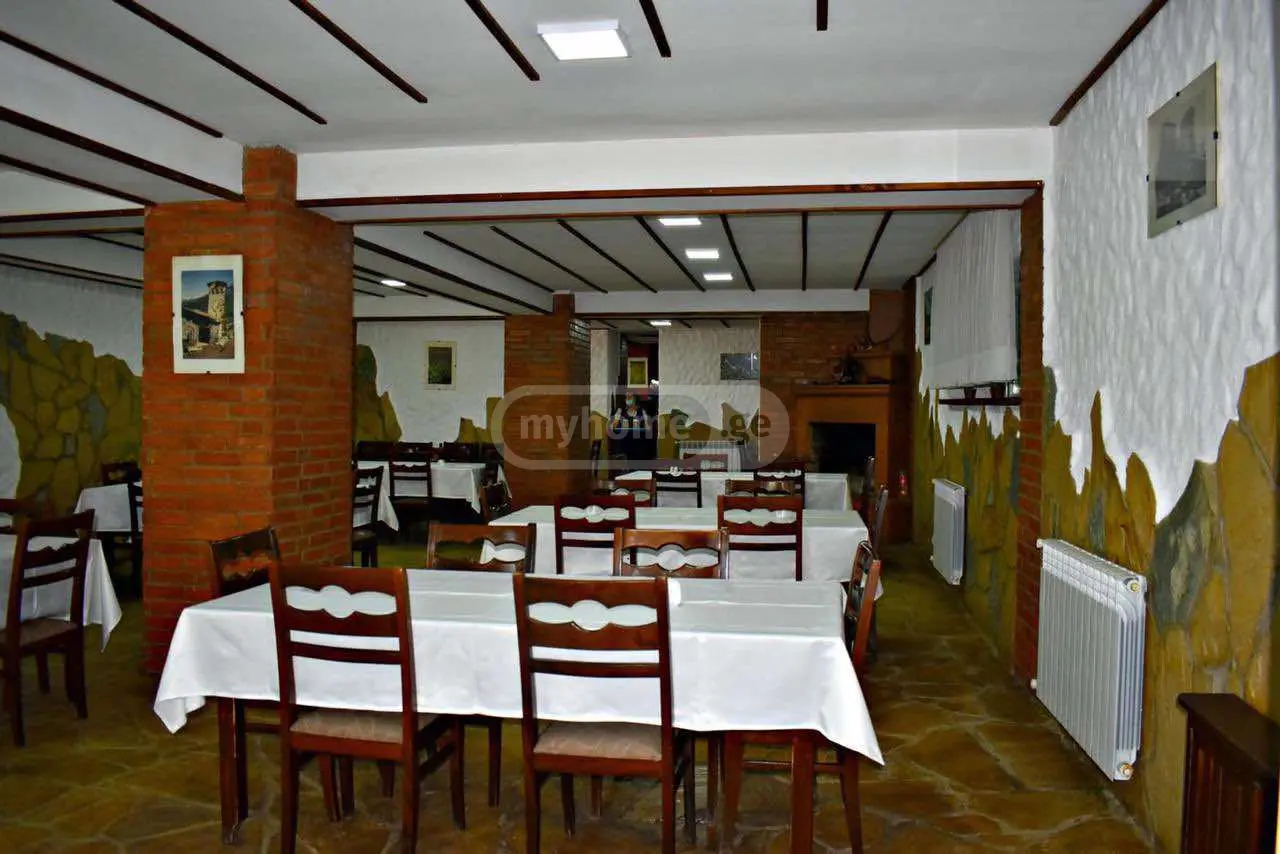 For Sale 10+ Room Sastumro Tsqaltubos Munitsipalitetshi view 9