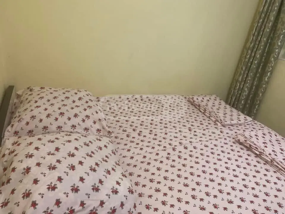 Daily Rent 1 Room Apartment Ortachalashi, 4 of 12