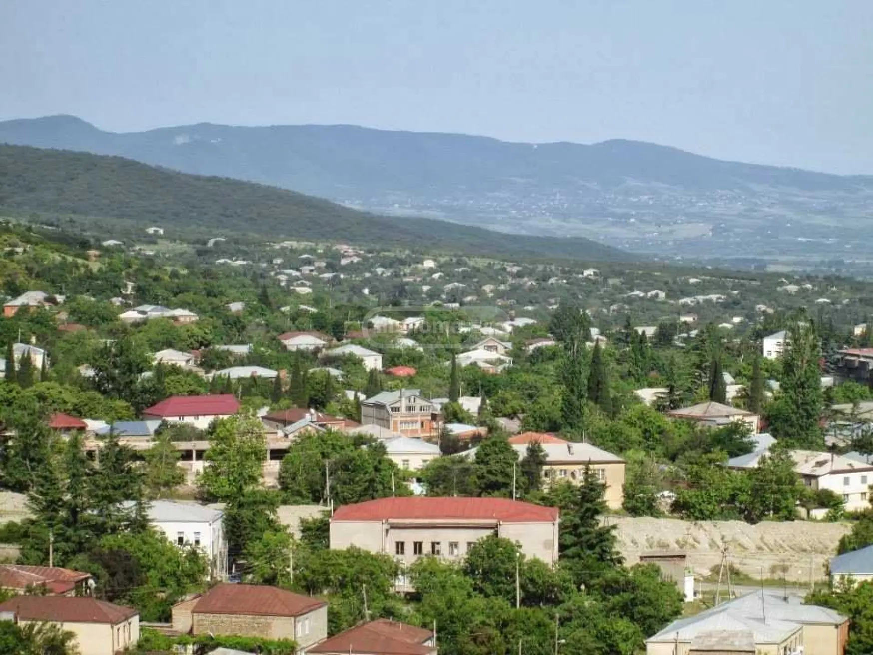 For Sale Satsarmoo Commercial Space Sagarejoshi view 2