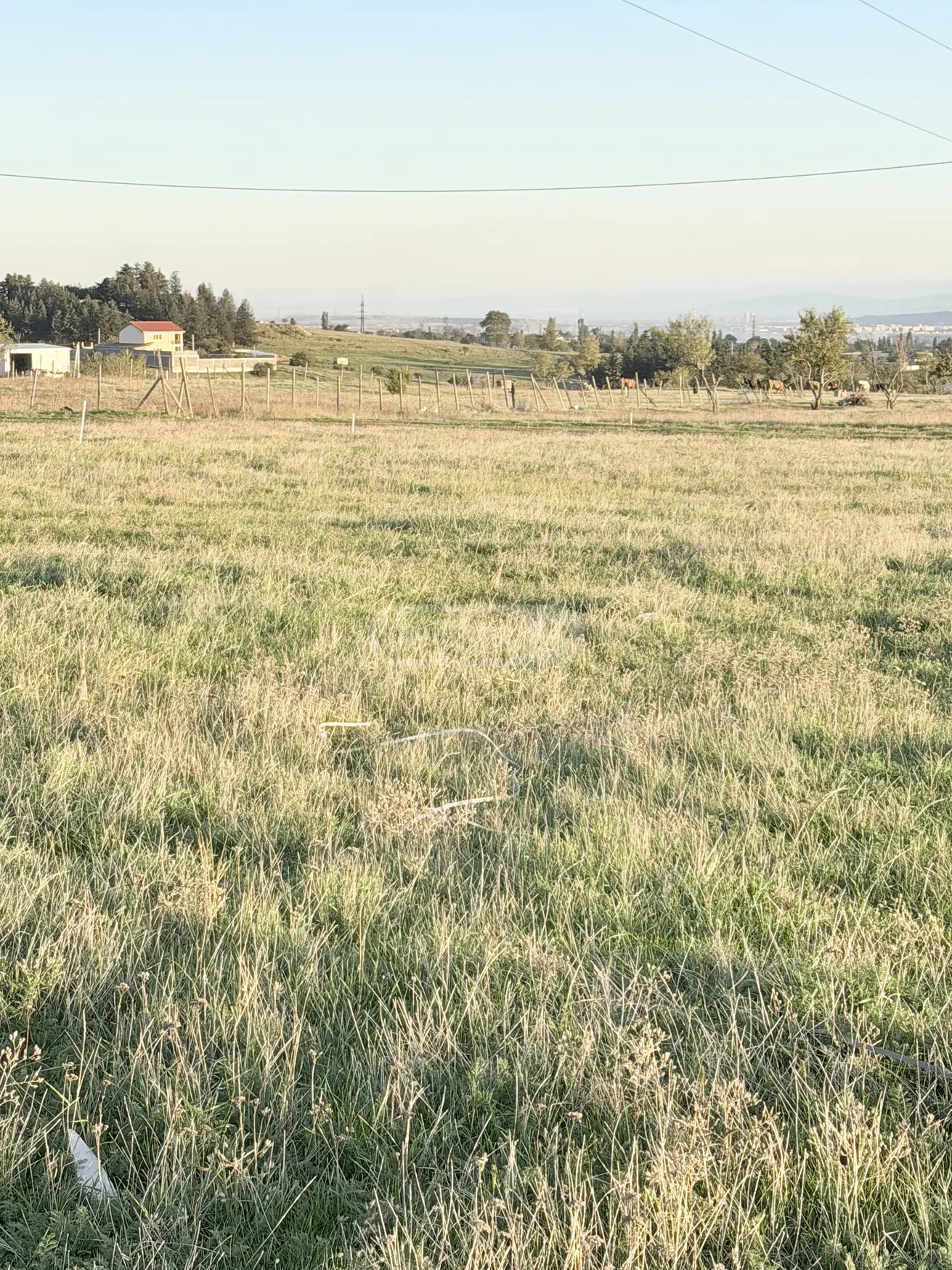 For Sale Sasoplo-Sameurneo Land Plot Varketilshi, 4 of 9