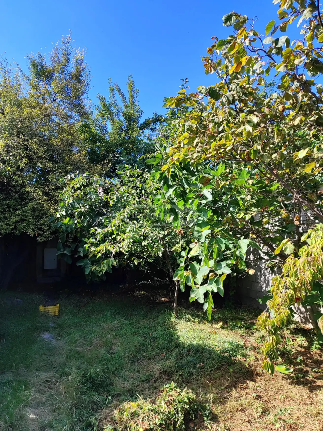 For Sale 5 Room Private House Kaspis Munitsipalitetshi view 8
