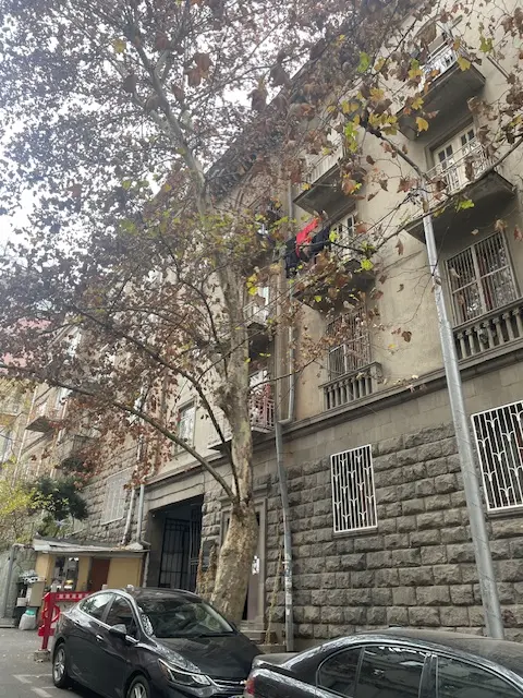building
