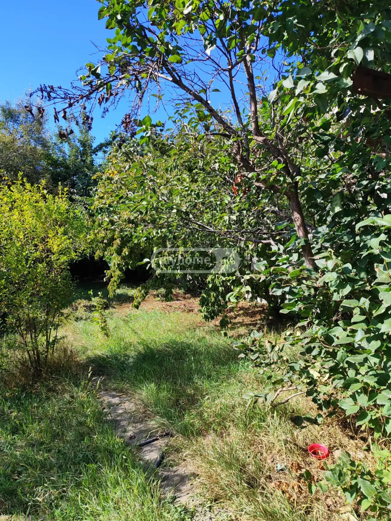 For Sale 5 Room Private House Kaspis Munitsipalitetshi view 13