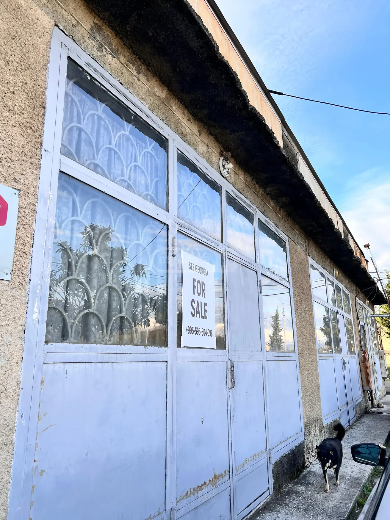 For Sale Universaluri Commercial Space Zugdidshi view 1