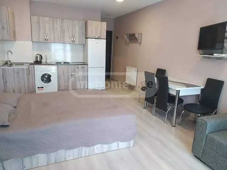 For Sale 1 Room Sastumro Bakurianshi view 22