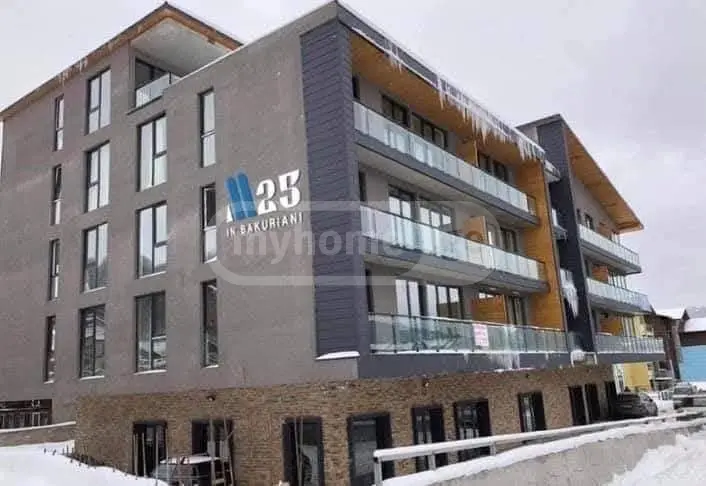 For Sale 1 Room Sastumro Bakurianshi view 13