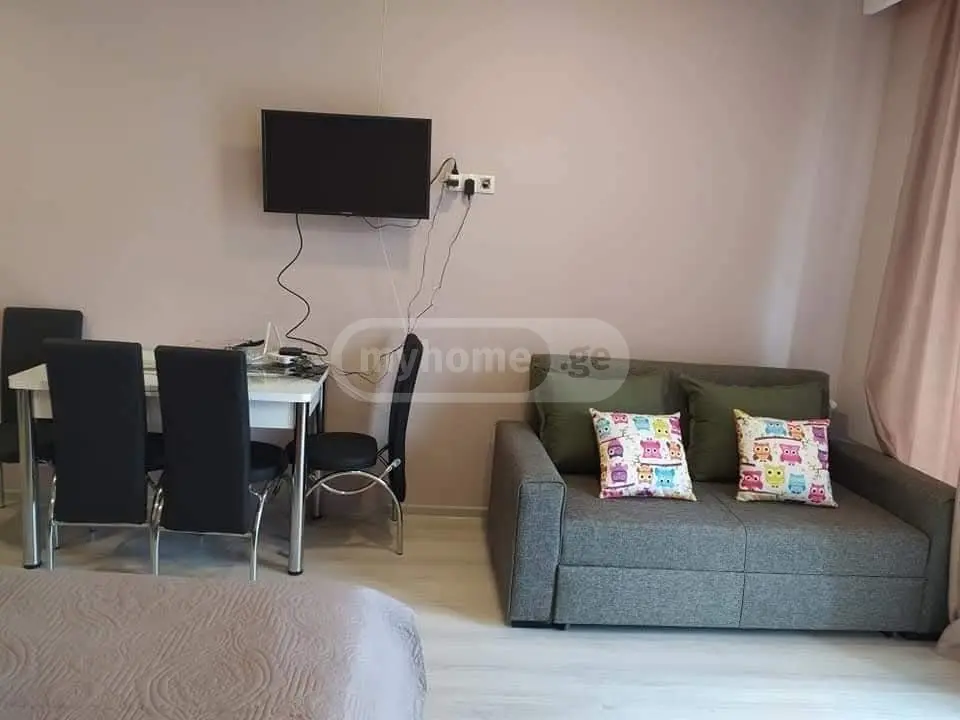 For Sale 1 Room Sastumro Bakurianshi view 23