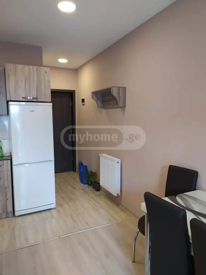 For Sale 1 Room Sastumro Bakurianshi view 20
