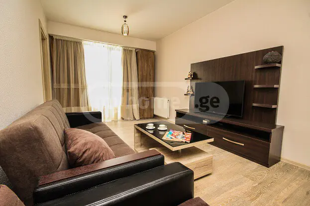 Daily Rent 2 Room Sastumro Bakurianshi, 4 of 10
